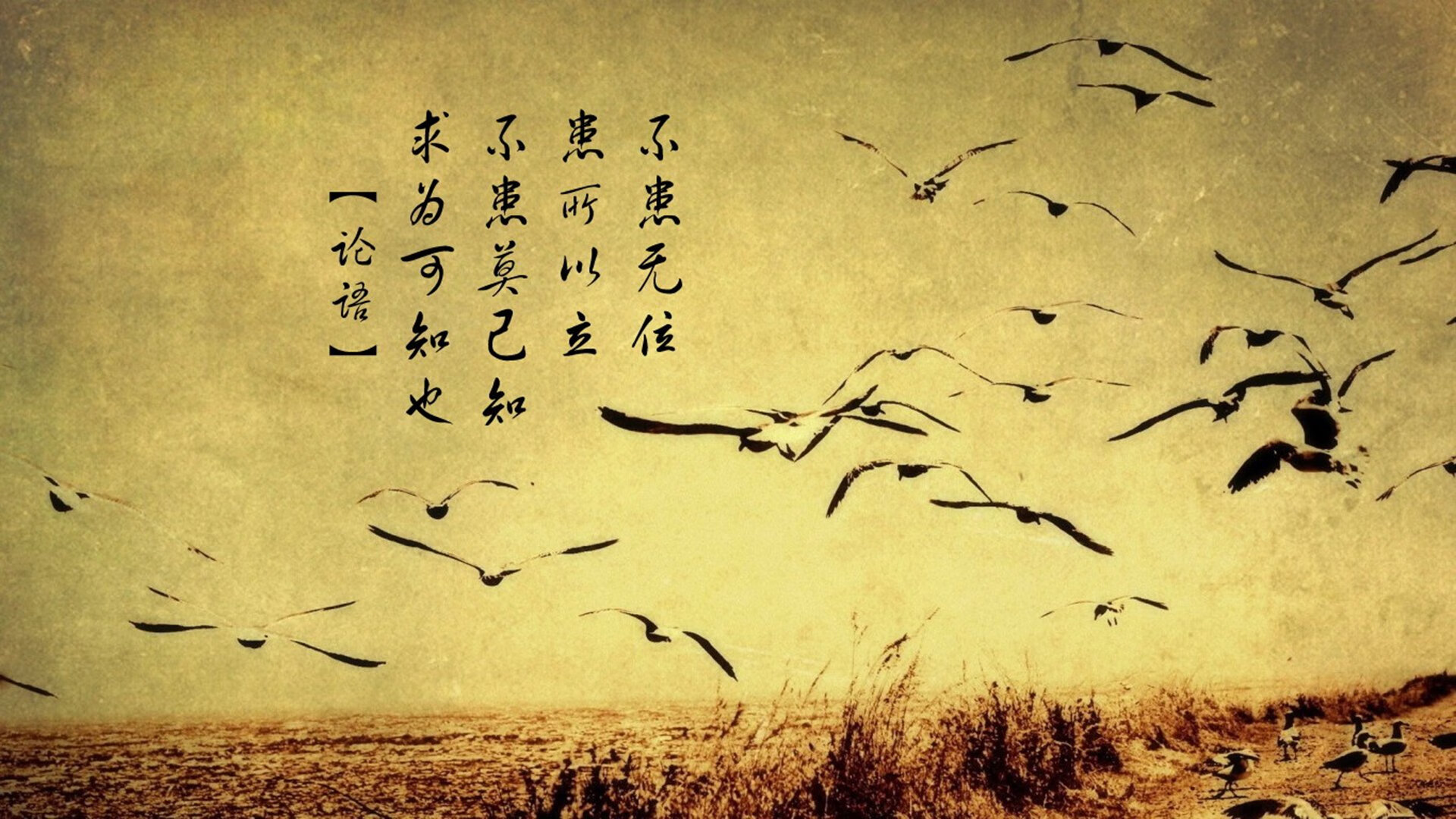 绝杀时刻，瑞典队险胜中国队，马龙关键制胜球留遗憾