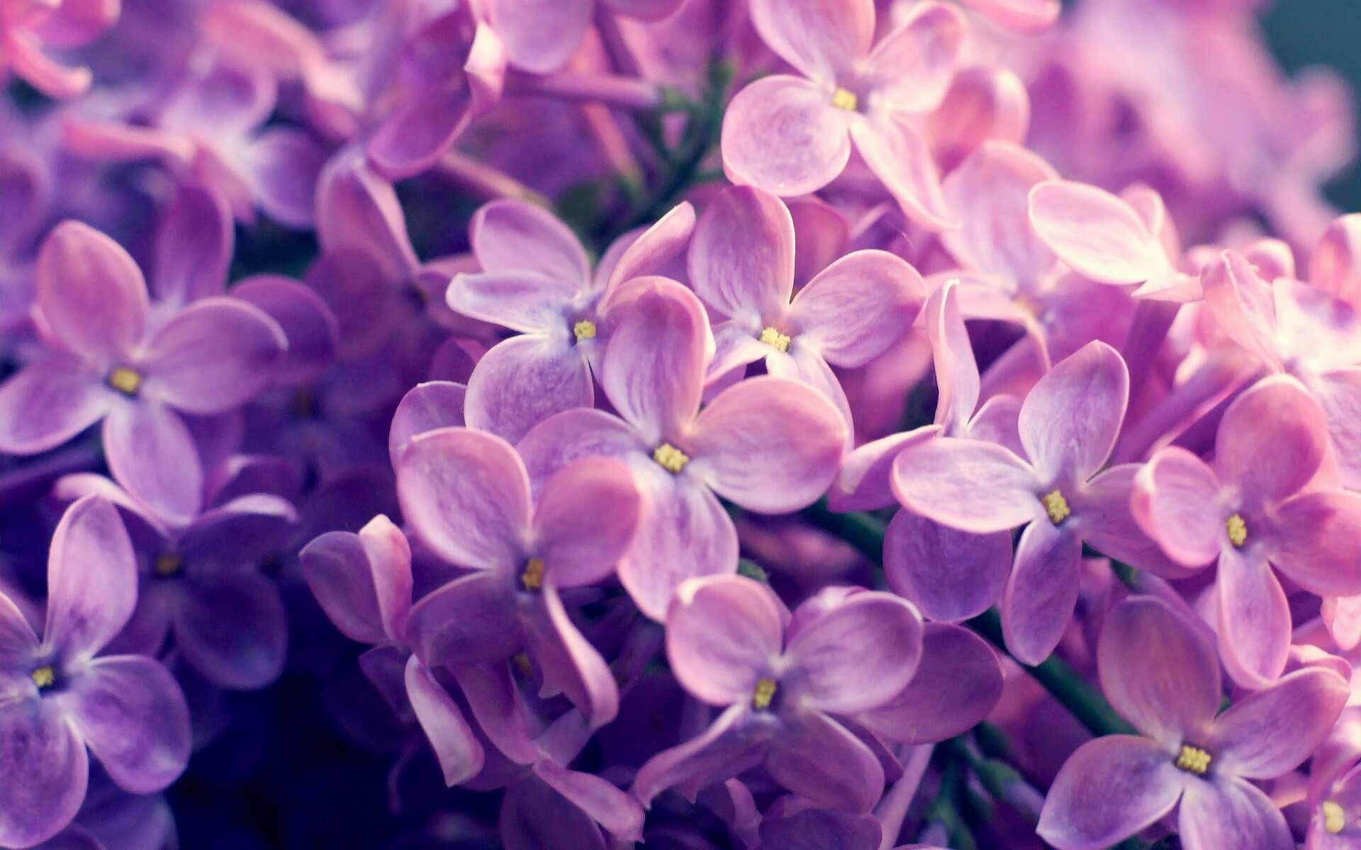 丹麦暗夜航行，险胜土耳其之夜，加维划破长空的一颗流星