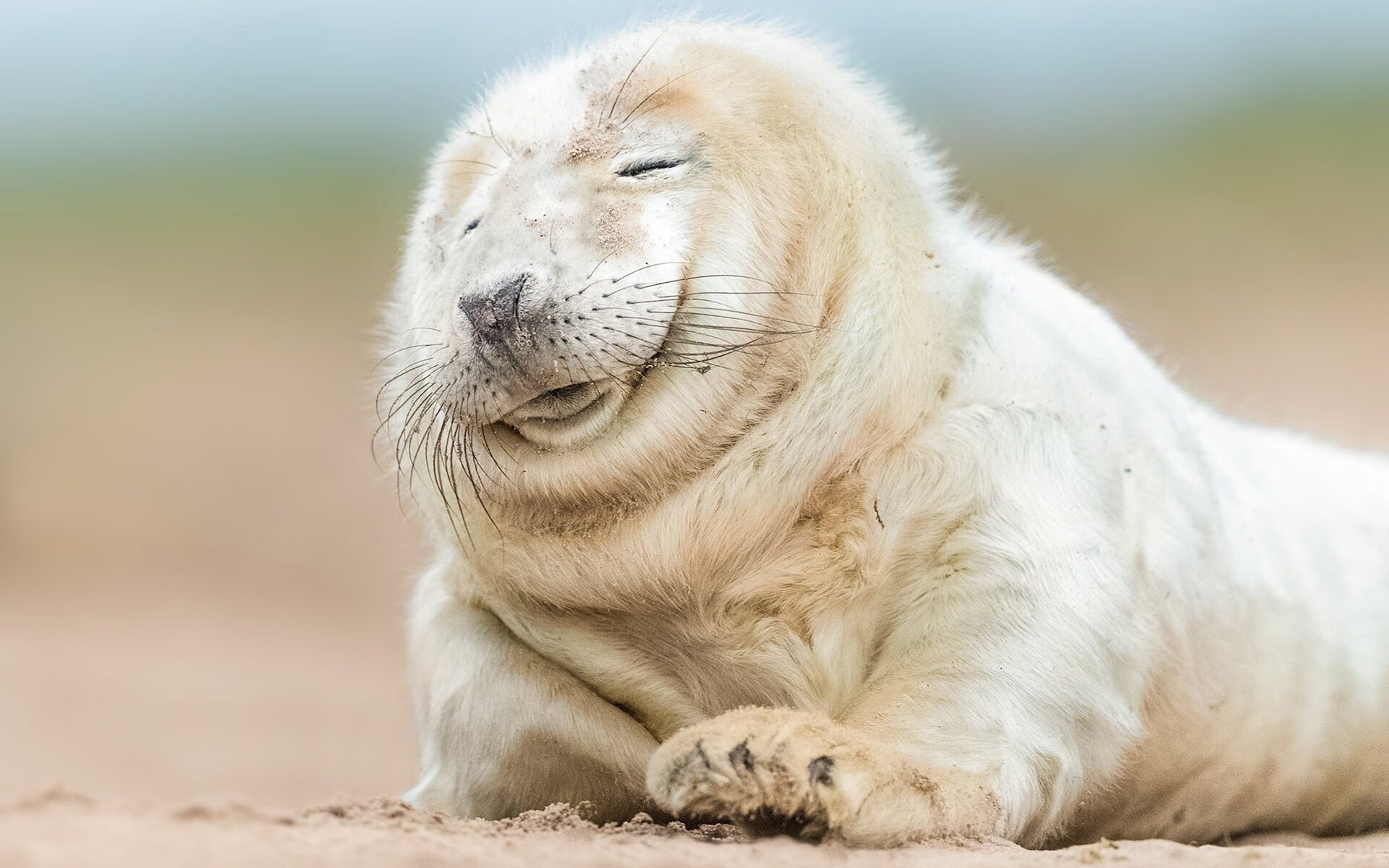 古典艺术与狂野新章,当迪马利亚演绎教科书,安哥拉踏平旧大陆的傲慢