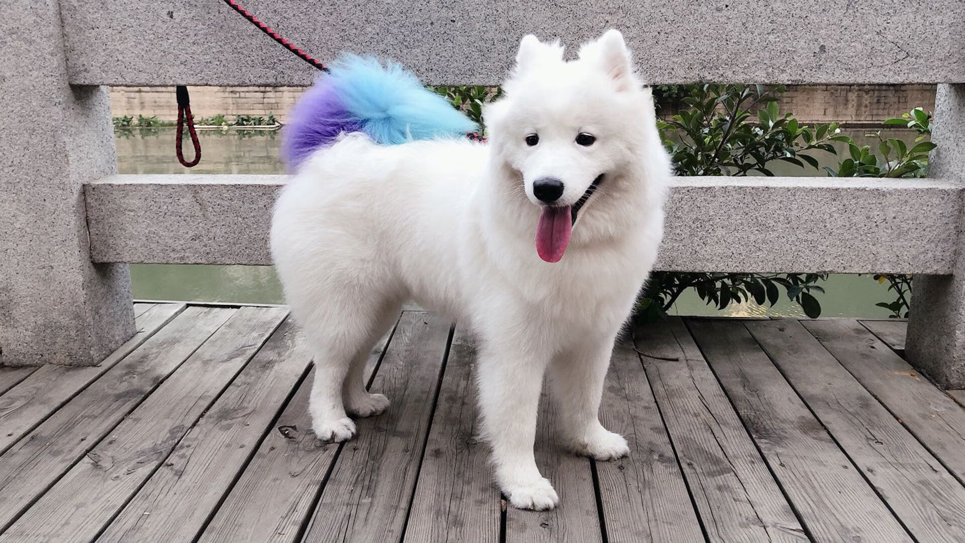 智利蓝图的最后一块拼图,托尼如何成为阿森纳的关键先生