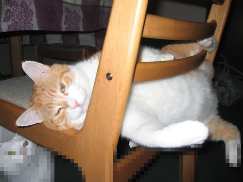 唯一幸存者,冰岛生死战绝杀法国,卡拉斯科的火与冰之歌