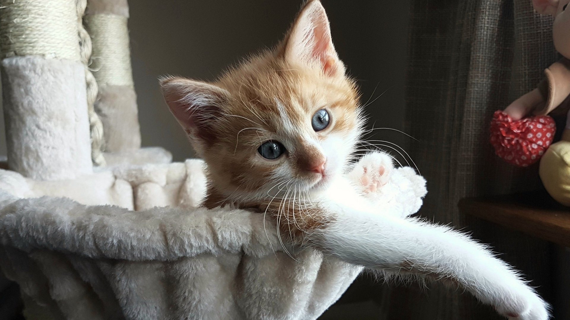 从拼图到持剑人,努涅斯在年度焦点之战中完成自我证明