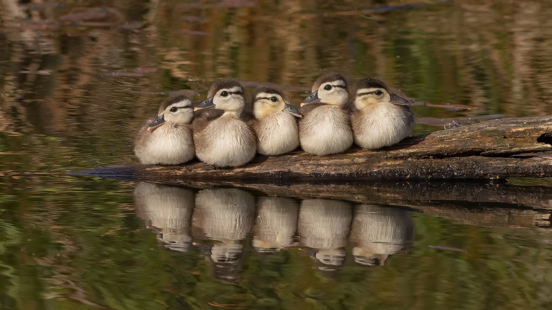 苍穹与地板,从一箭定轨到一球定音—中国航天的精确与辽宁男篮的坚韧