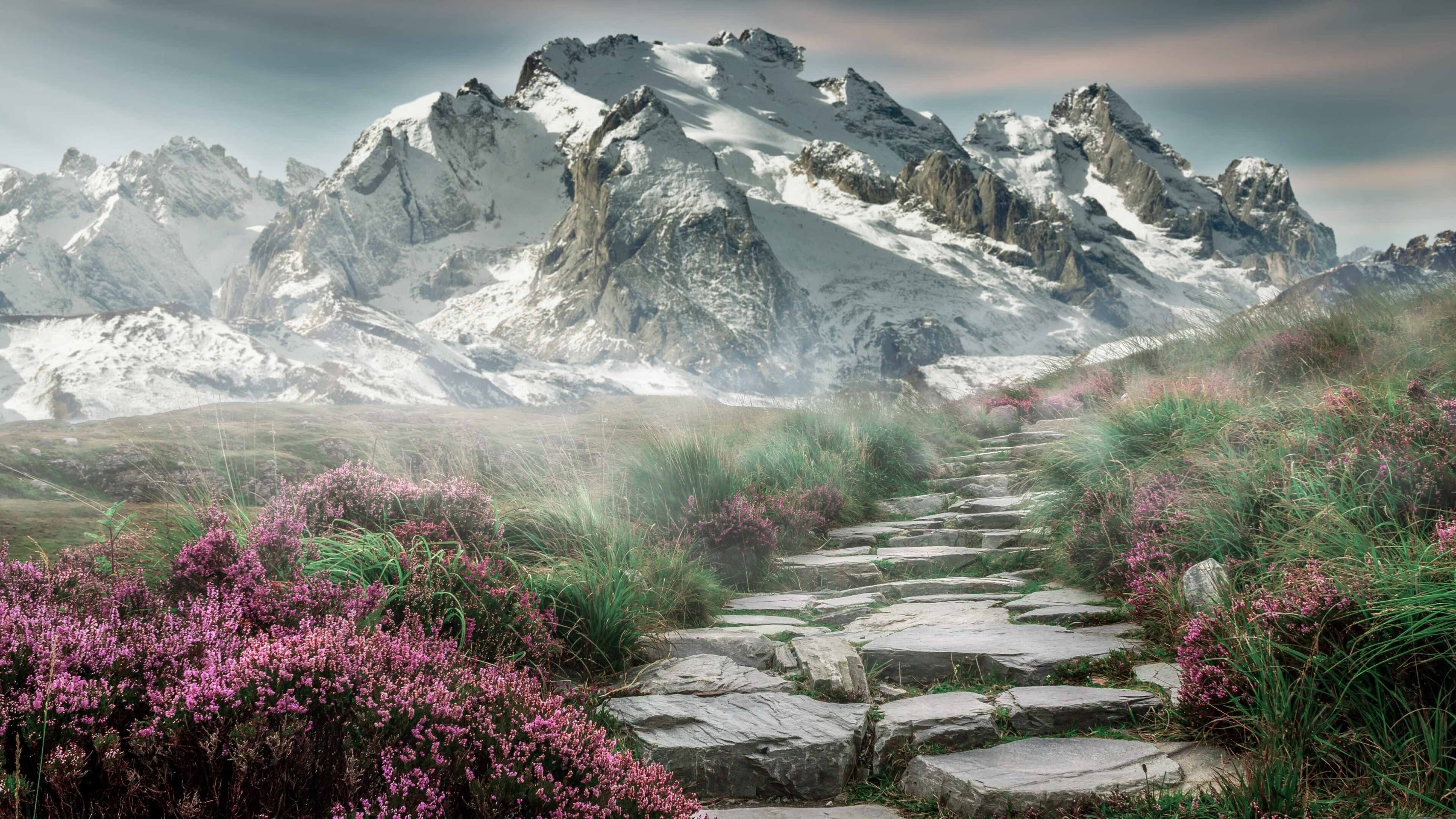 武切维奇的降维打击,当NBA魔术师在CBA防线跳起毁灭之舞