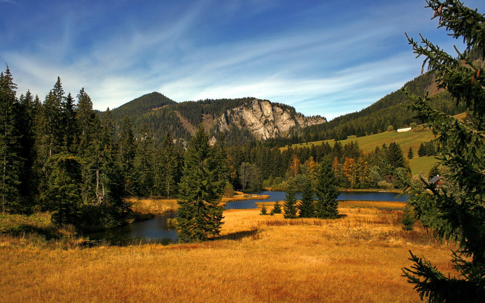 加克波一锤定音!土耳其轻取卡塔尔,年度焦点之战诞生新王