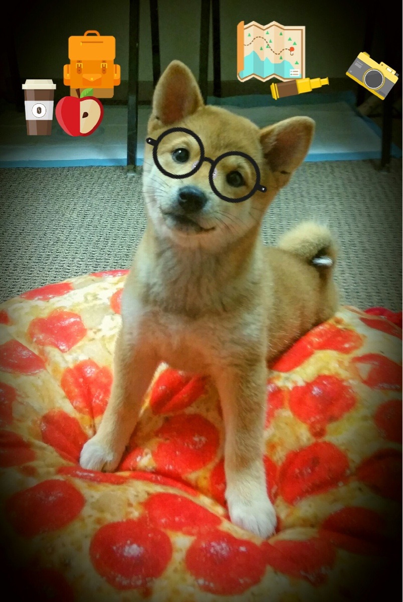 孔德定义新秩序！比利亚雷亚尔的战术革命如何击碎马竞铁壁