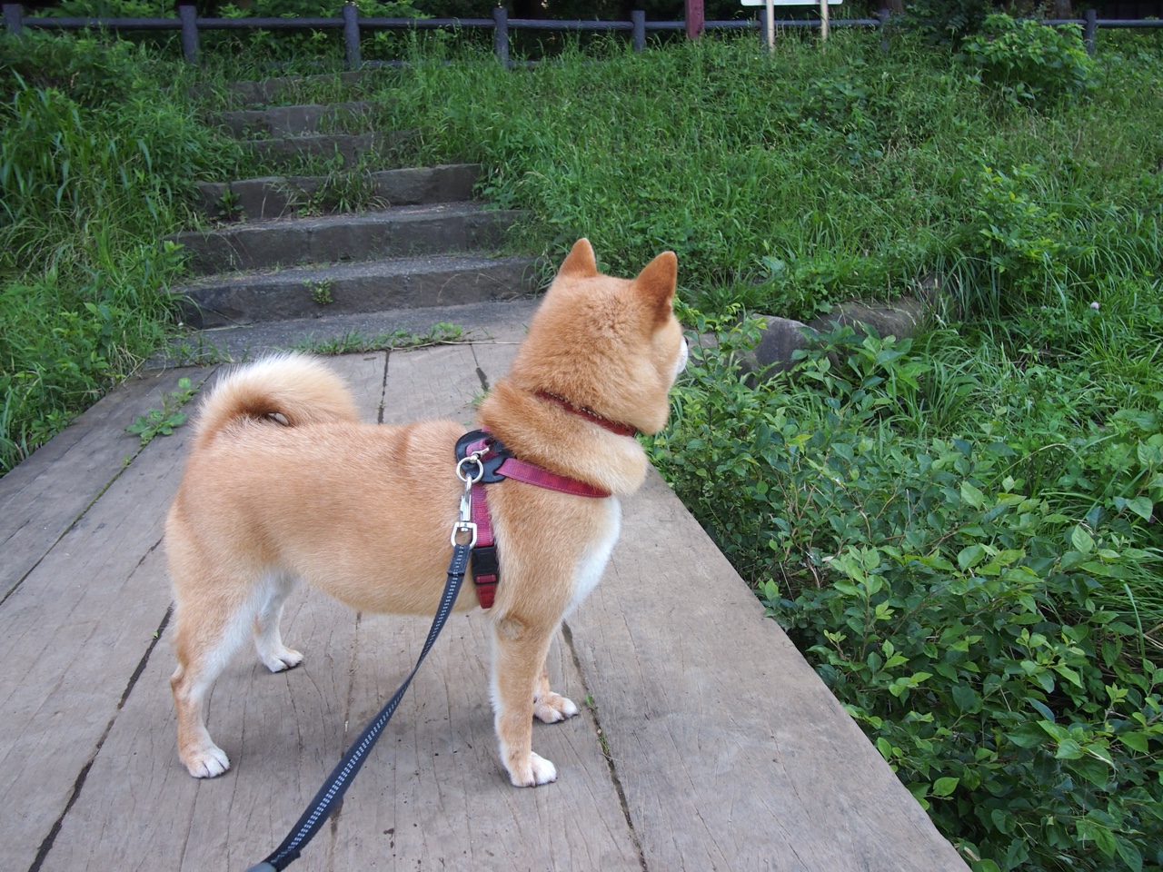 孔德定义新秩序！比利亚雷亚尔的战术革命如何击碎马竞铁壁