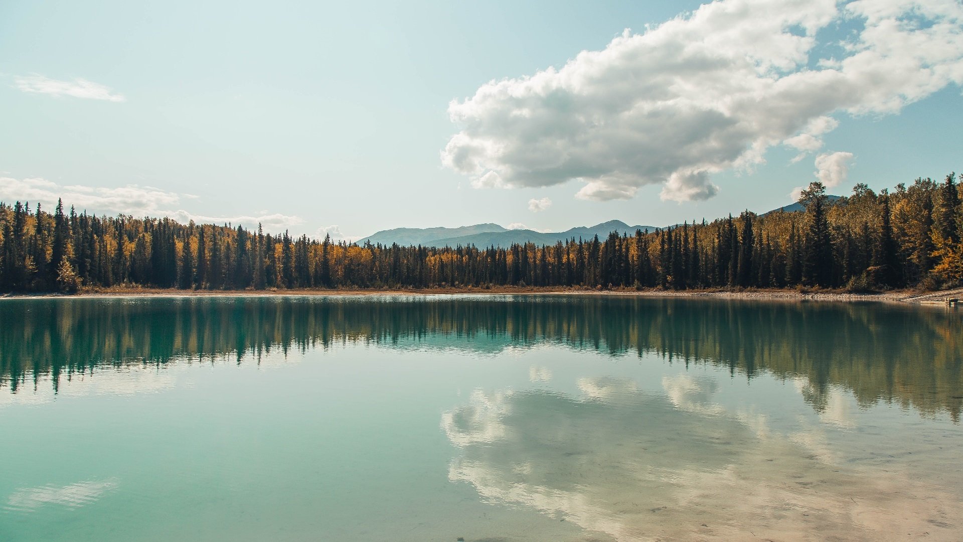 踏碎金州余晖，38岁保罗末节17分奇才逆转太阳，年度焦点战封神