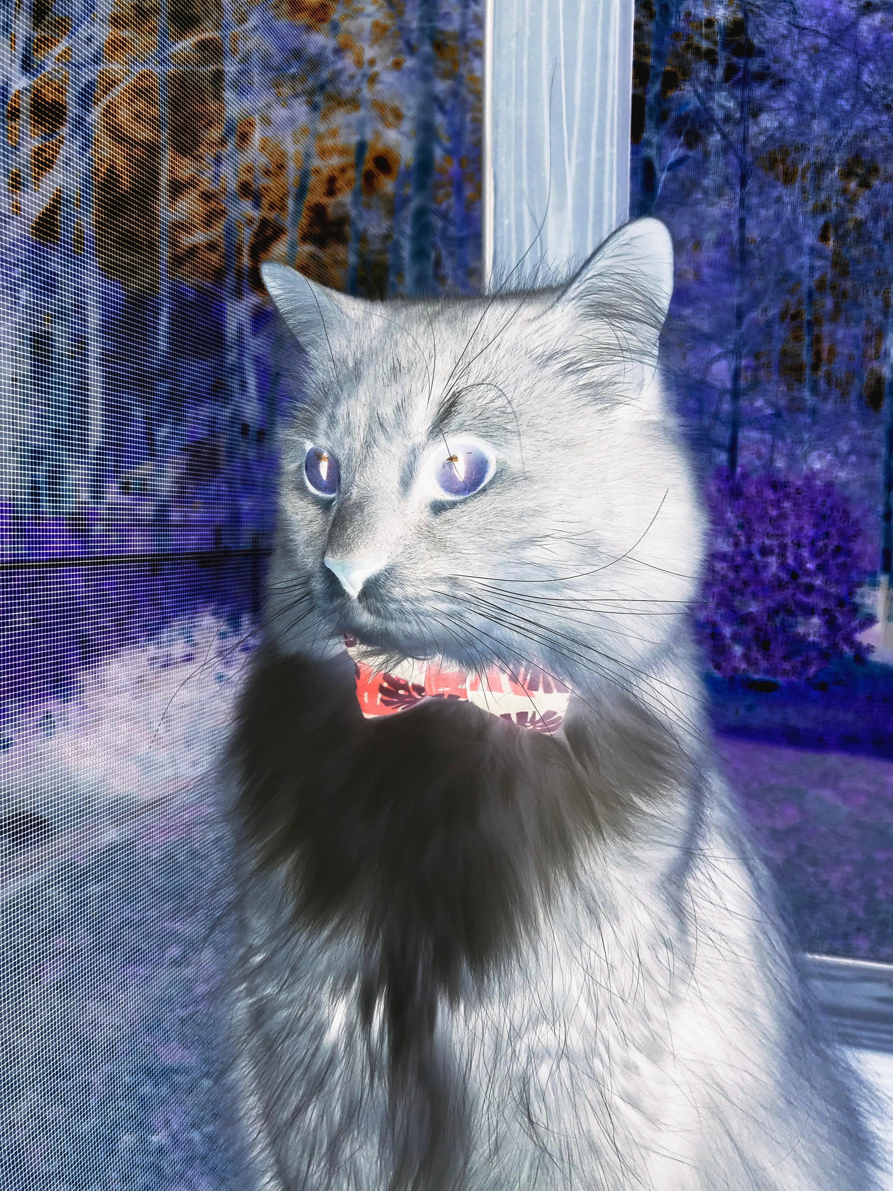 拉文42分惊天神迹难救主,奇才加时负鹈鹕的悲情英雄战