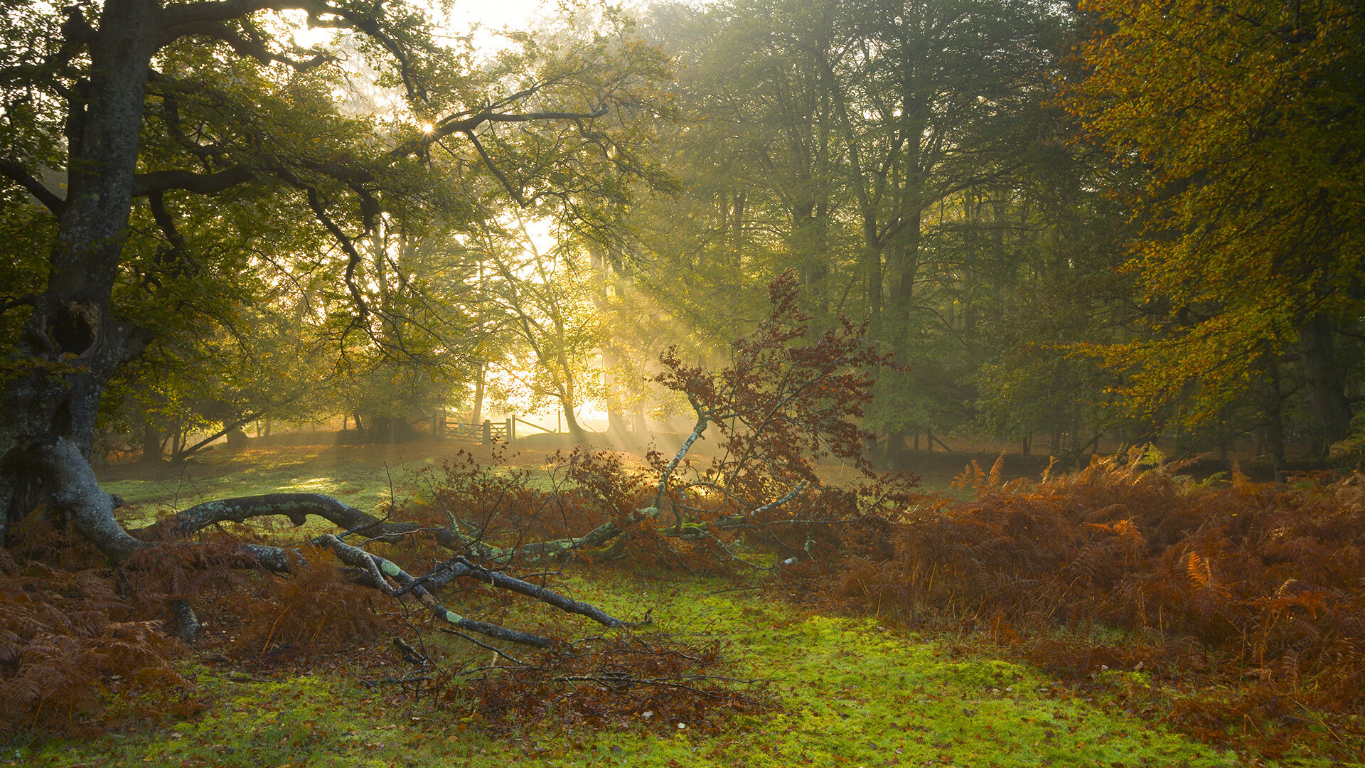 破壁之战，当维苏威的火焰遇上丹麦铁壁，坎特在史诗缝隙中加冕