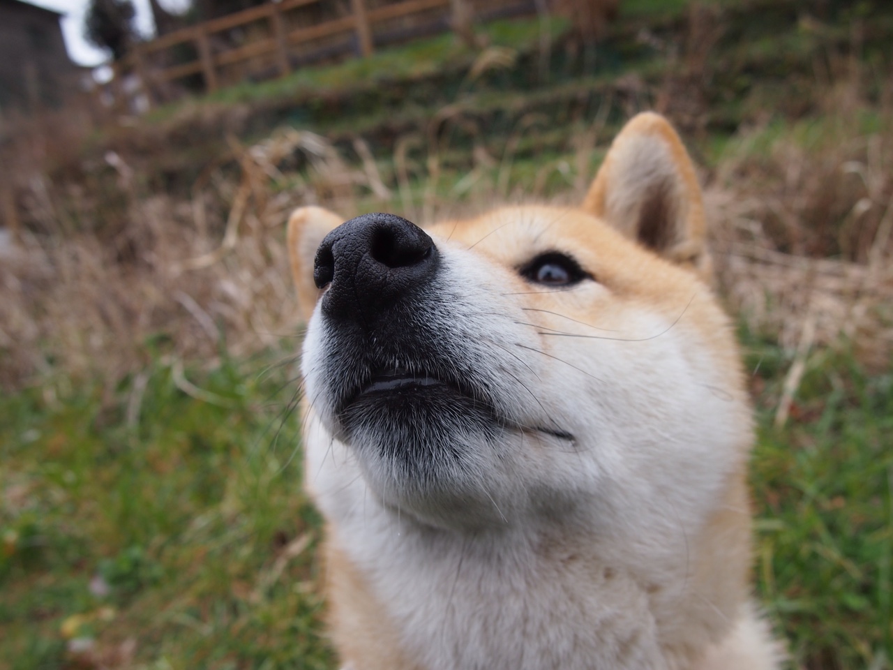 骑士东征遇伏击,广厦单节闪电战颠覆篮球宇宙
