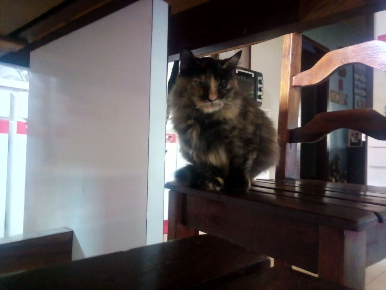 绿茵场上的指挥家，李刚仁一传一射导演胜利，雷恩力克劲旅加纳