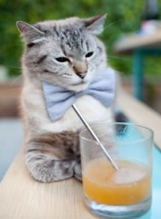 奥亚尔萨瓦尔,以皇家社会节奏重塑乌拉圭足球的交响