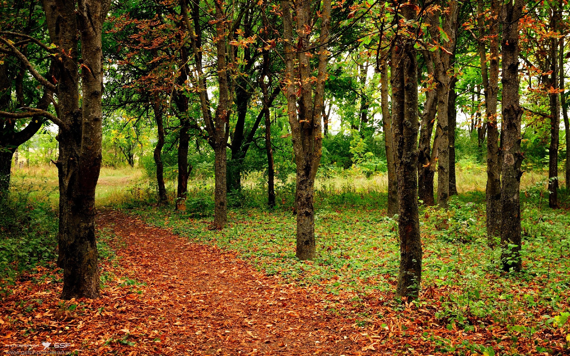 盐湖城的手术刀,当霍勒迪的连续得分切开费城之夜