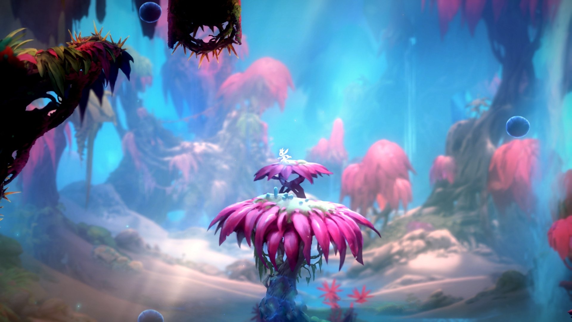 一支俱乐部的国家队,当勒沃库森青训营在U17世界杯封锁了墨西哥