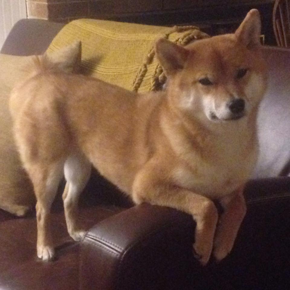 刀刃上的舞蹈，恩佐教科书之夜引爆年度焦点战