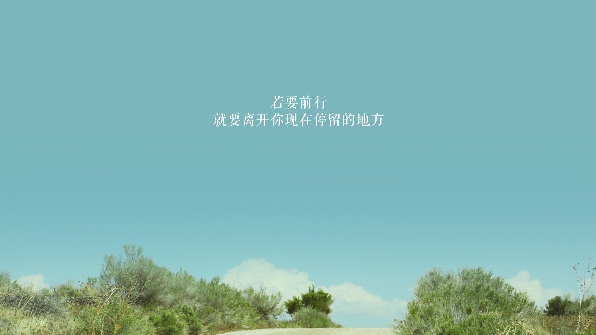 疾风骤雨中的唯一交响,2026世界杯B组,厄瓜多尔与喀麦隆的攻守之舞,维尼修斯奏响逆转华章